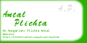 antal plichta business card